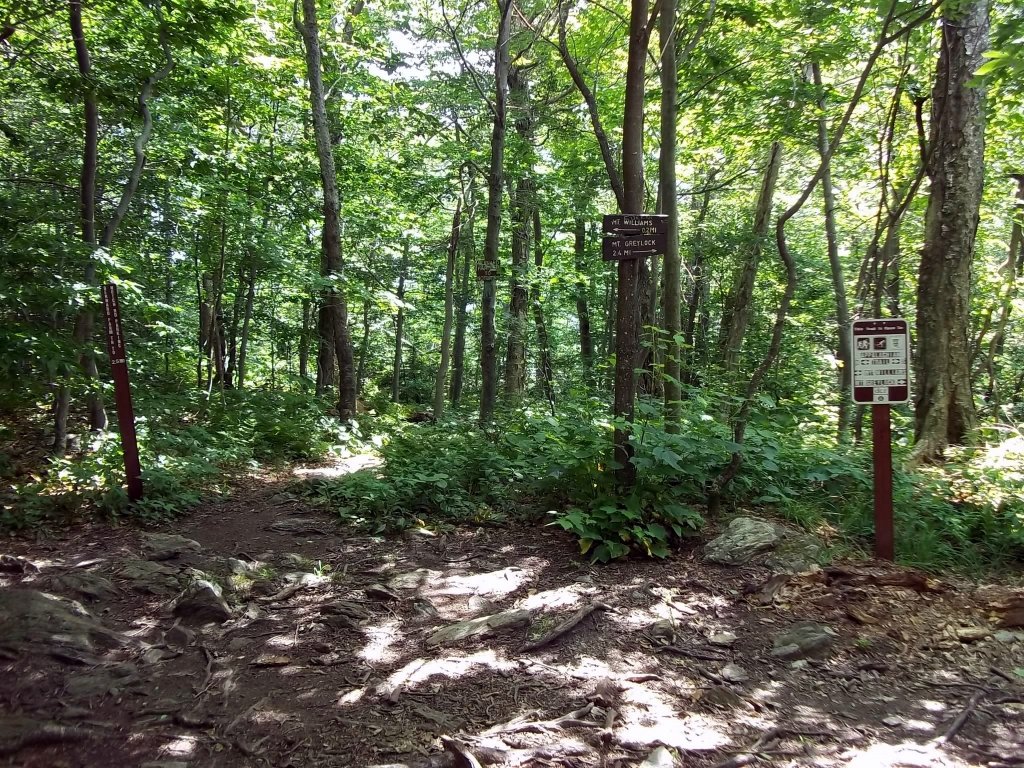 Hiking the Taconic Range